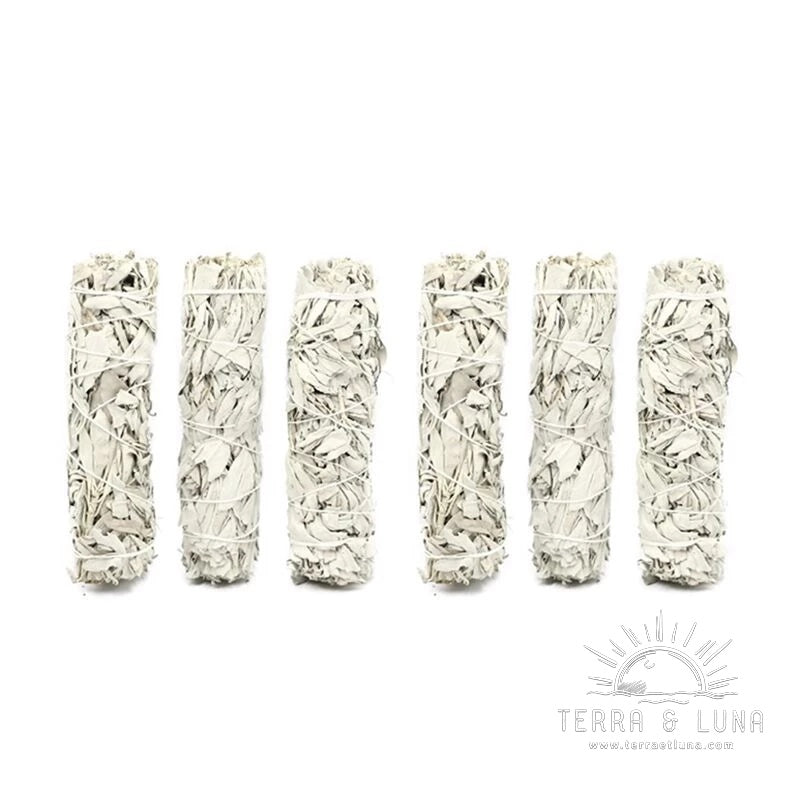 Bâtonnets de fumigation et purification en Sauge Blanche, pack de 6