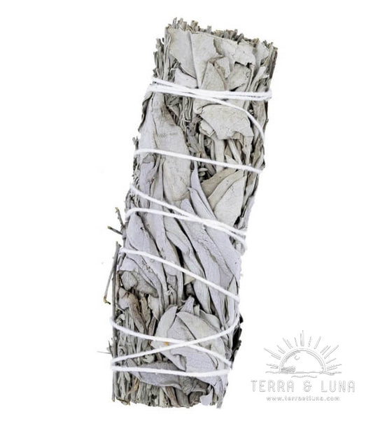 Bâtonnet de fumigation et purification en Sauge Blanche